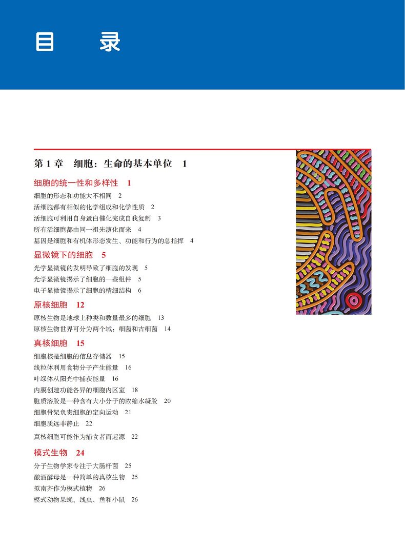 1779606989511587.jpg